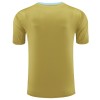 Camiseta de fútbol Argentina Pre-Match 2024 Amarilla